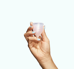 The Cup Y2