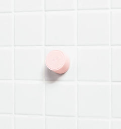 Magnetic Storage Hook T4