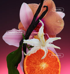 Daily Refresh Set X9