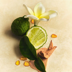 Skin Perfecting Body Lotion C3