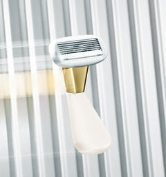 The Mini Razor C1